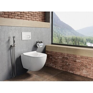 Sieninis čiaupas su higieniniu dušu 2